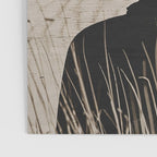 DESERT LADY Poster Gallery Image 3