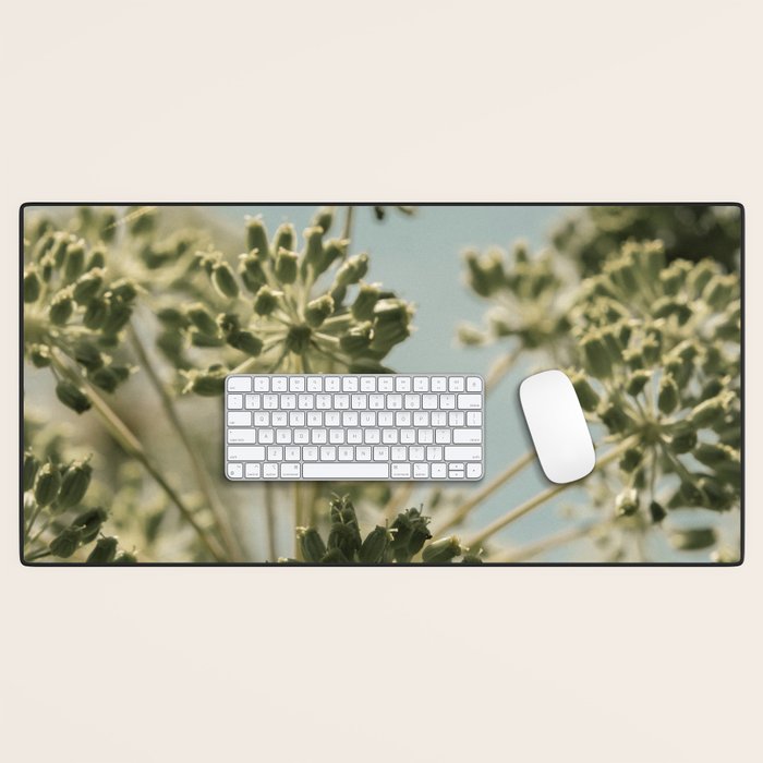 botanical abstract no. 2 color - flower seed head photograph nature Desk Mat Gallery Image 1