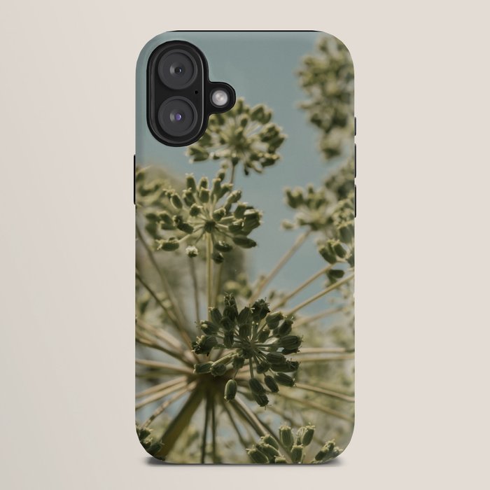 botanical abstract no. 2 color - flower seed head photograph nature iPhone Case Gallery Image 10