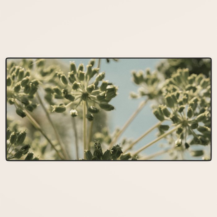 botanical abstract no. 2 color - flower seed head photograph nature Desk Mat Gallery Image 3