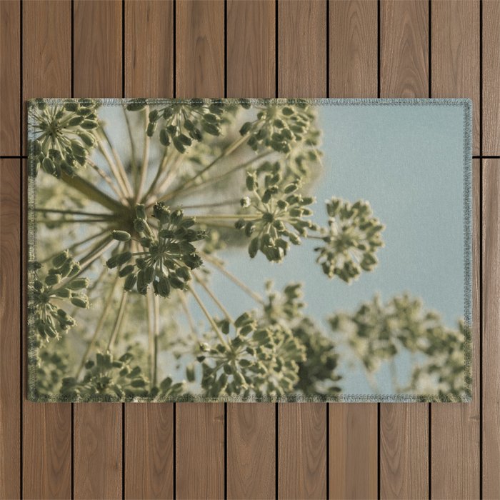 botanical abstract no. 2 color - flower seed head photograph nature Outdoor Rug Gallery Image 1