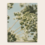 botanical abstract no. 2 color - flower seed head photograph nature Notebook Gallery Image 4