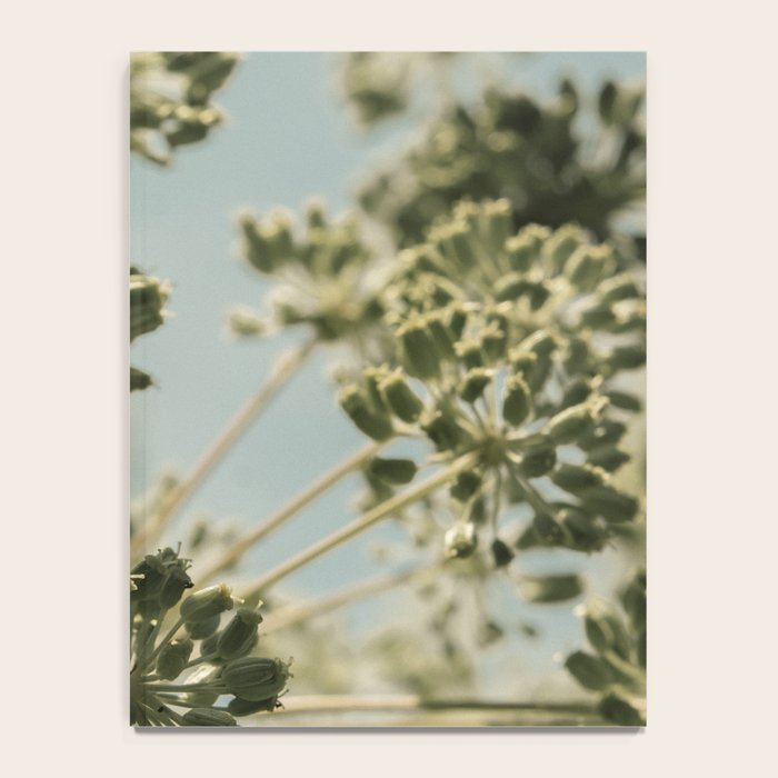 botanical abstract no. 2 color - flower seed head photograph nature Notebook Gallery Image 4