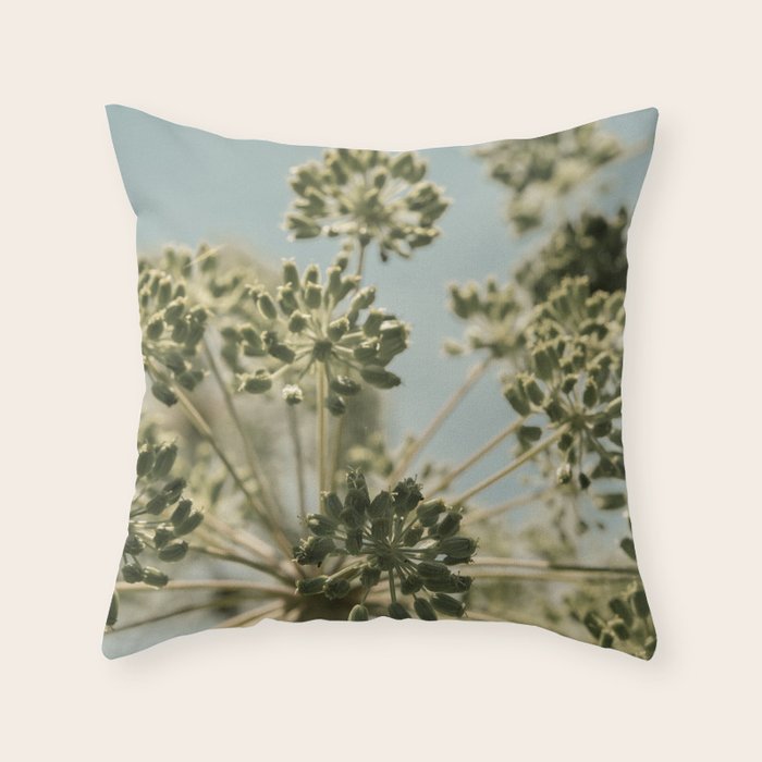 botanical abstract no. 2 color - flower seed head photograph nature Throw Pillow Gallery Image 1