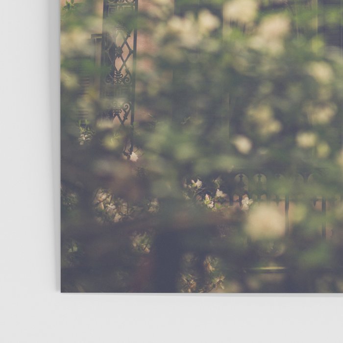 Afternoon in the Garden District x New Orleans Photography Poster Gallery Image 3