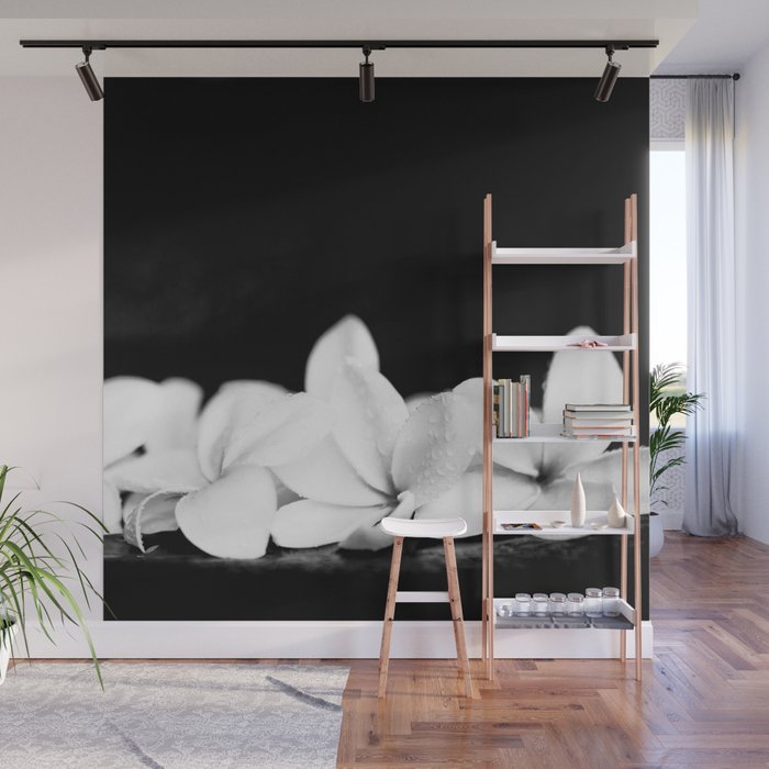 Singapore White Plumeria Flowers the Fragrance of Hawaii Wall Mural Gallery Image 1