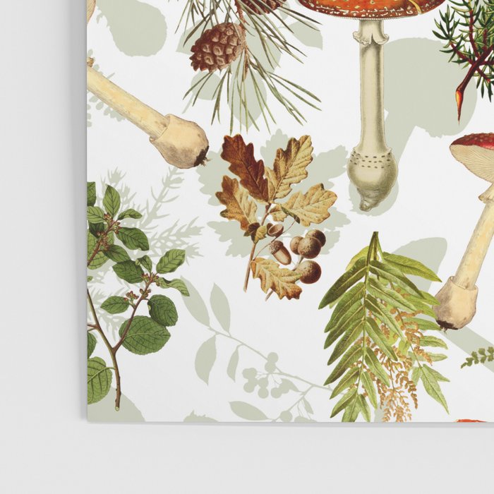 Vintage & Shabby Chic - Autumn Harvest Botanical Garden Poster Gallery Image 3