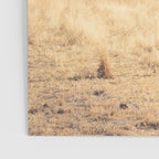 Welcome to Marfa Poster Gallery Image 3