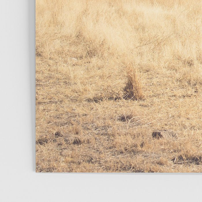Welcome to Marfa Poster Gallery Image 3