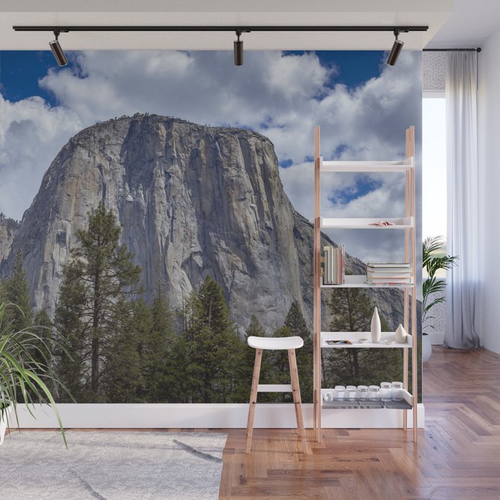 El Capitan Yosemite National Park Wall Mural Gallery Image 1