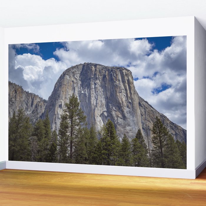 El Capitan Yosemite National Park Wall Mural Gallery Image 2