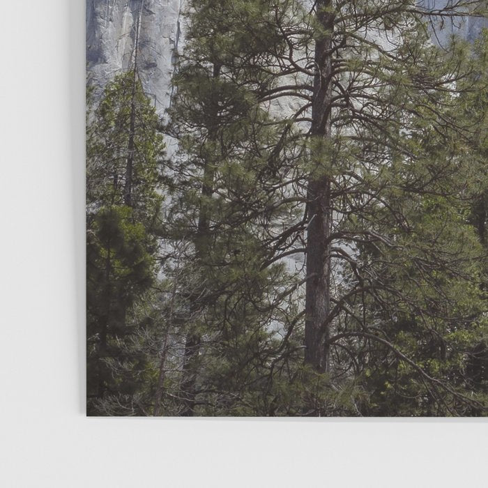 El Capitan Yosemite National Park Poster Gallery Image 3