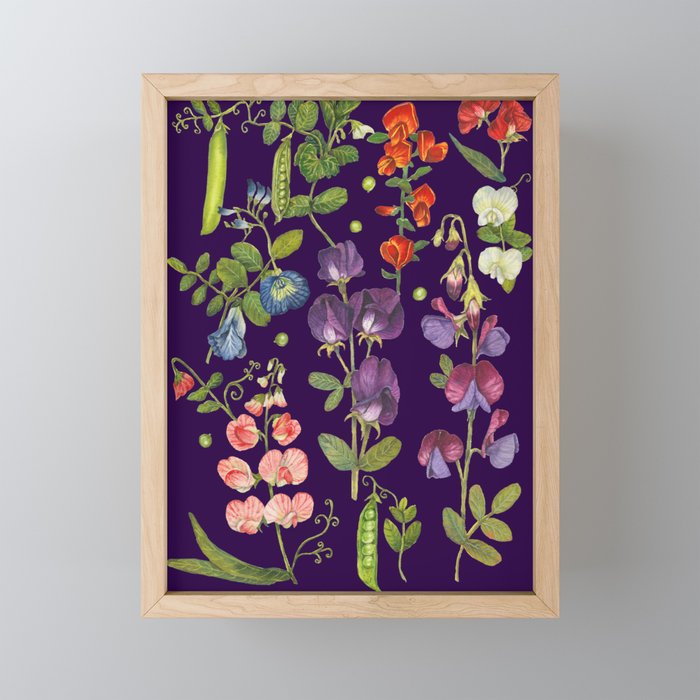 Beautiful Pea Flowers and Peas - dark Mini Art Print Gallery Image 1