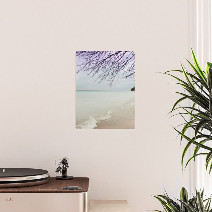 Freedom Poster Gallery Image 2