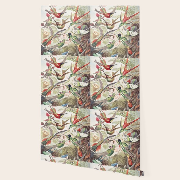 Hummingbirds 2.0 Wallpaper Gallery Image 2