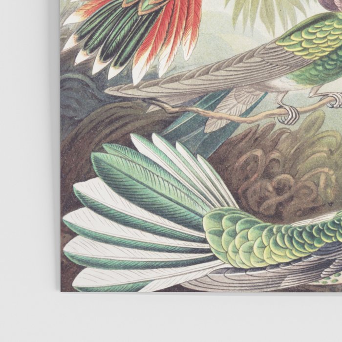Hummingbirds 2.0 Poster Gallery Image 3