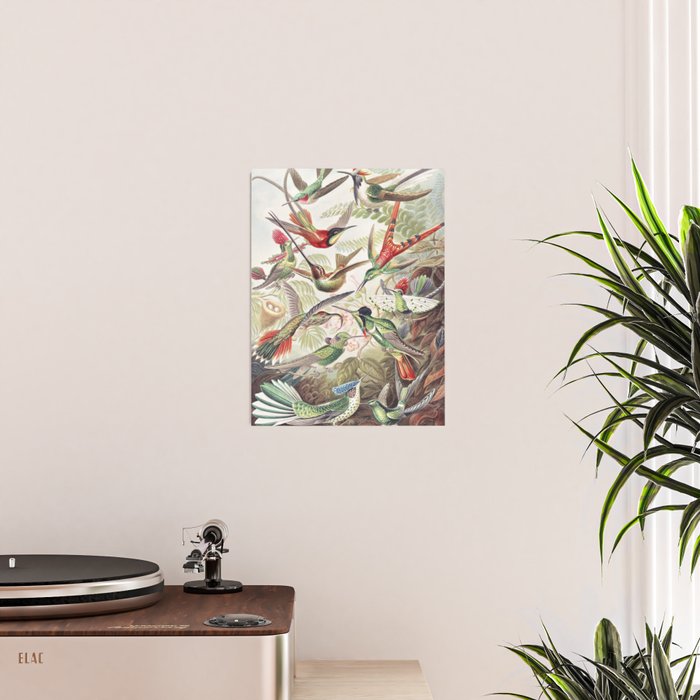 Hummingbirds 2.0 Poster Gallery Image 2