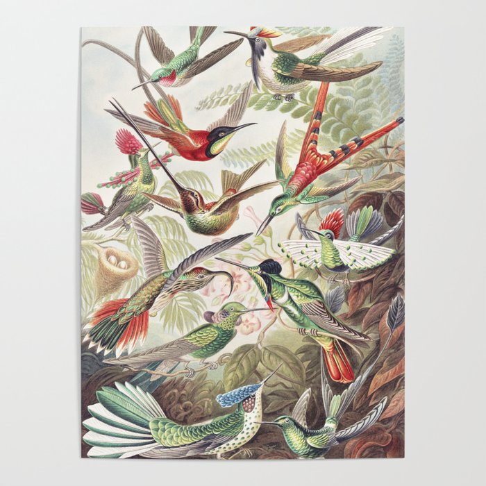 Hummingbirds 2.0 Poster Gallery Image 4