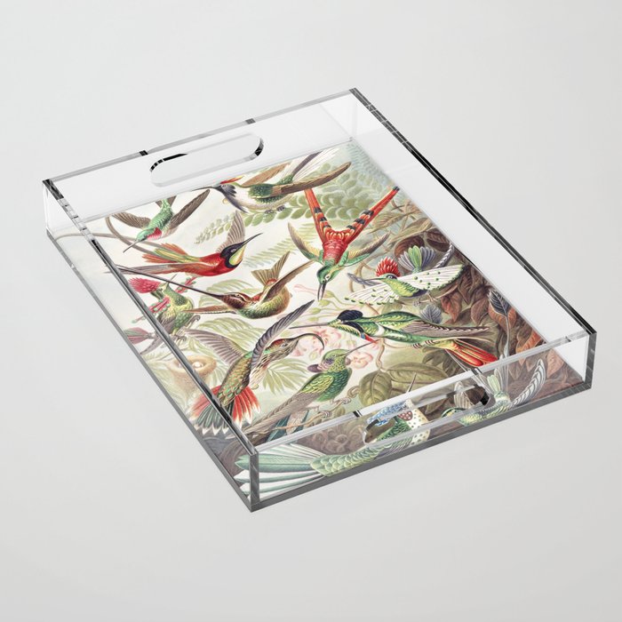 Hummingbirds 2.0 Acrylic Tray Gallery Image 1