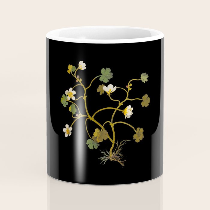 Ranunculus Aquaticus (Polyandria Polygynia) by Mary Delany Paper Collage Floral Flower Botanical Paper Mosaic Vintage Scientific Plant Anatomy Coffee Mug Gallery Image 4