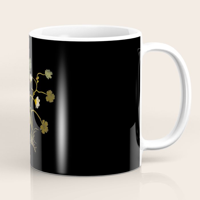 Ranunculus Aquaticus (Polyandria Polygynia) by Mary Delany Paper Collage Floral Flower Botanical Paper Mosaic Vintage Scientific Plant Anatomy Coffee Mug Gallery Image 1