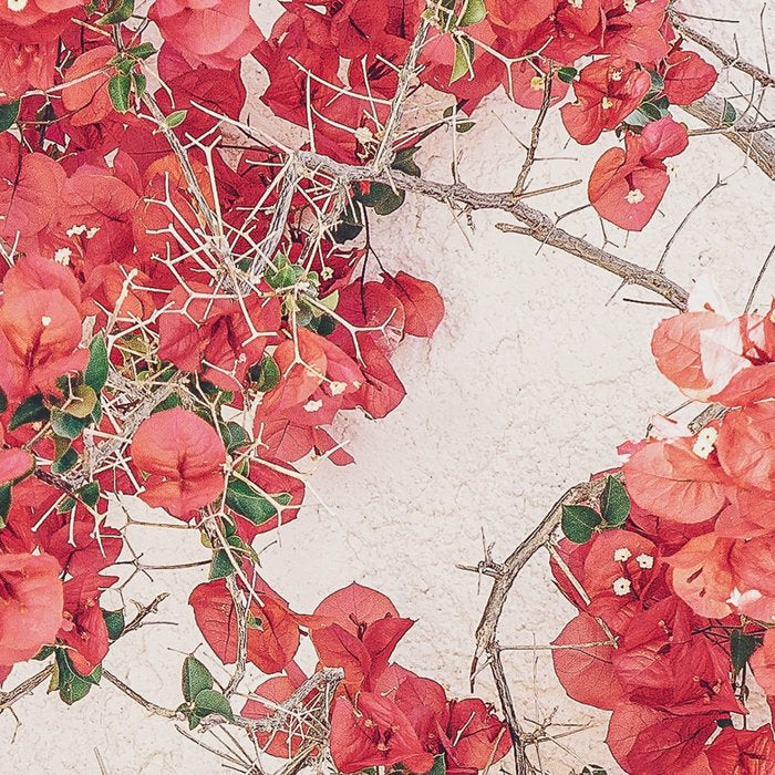 Mediterranean Bougainvillea Flower Coffee Mug Gallery Image 2