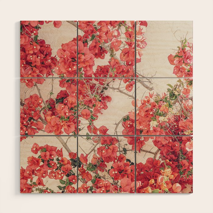 Mediterranean Bougainvillea Flower Wood Wall Art Gallery Image 1