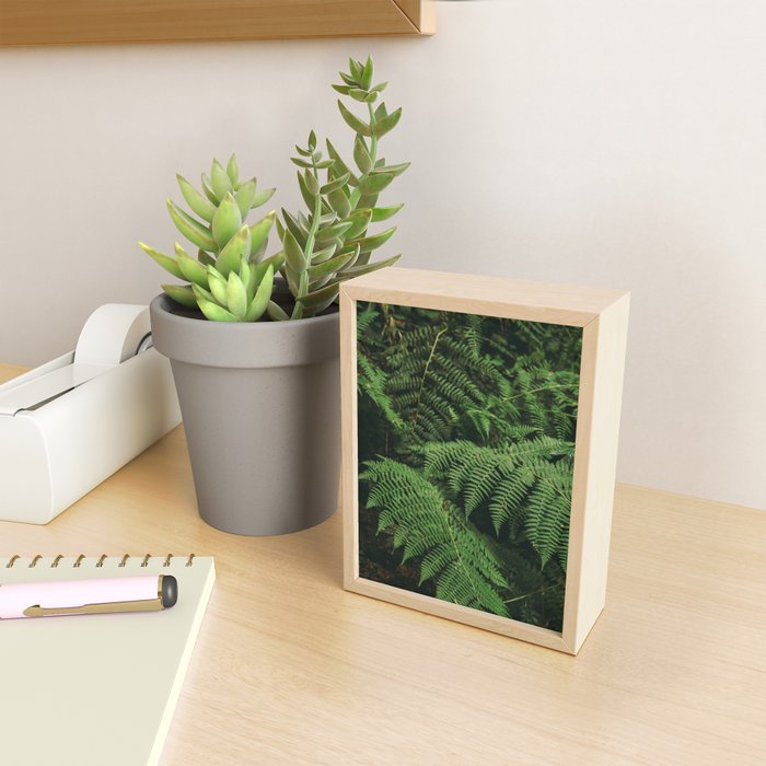 Ferns IX Mini Art Print Gallery Image 2