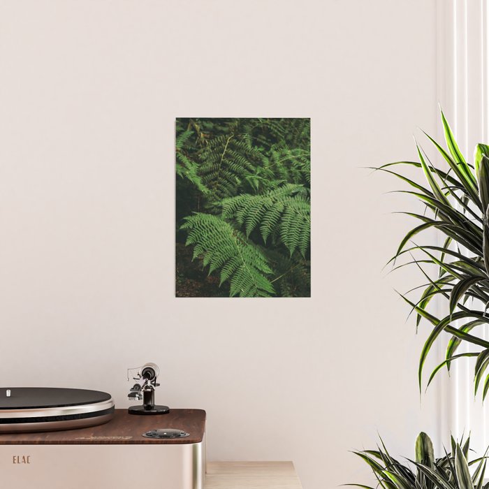 Ferns IX Poster Gallery Image 2