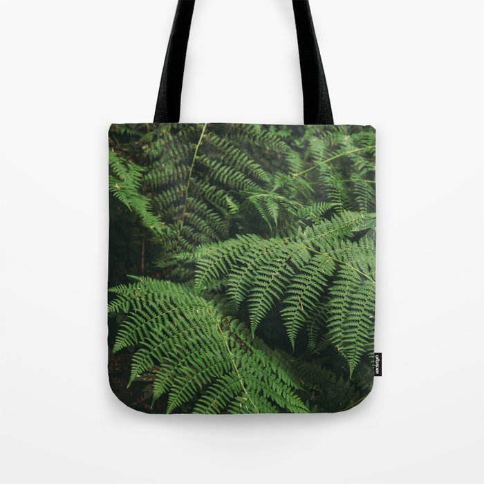 Ferns IX Tote Bag Gallery Image 1