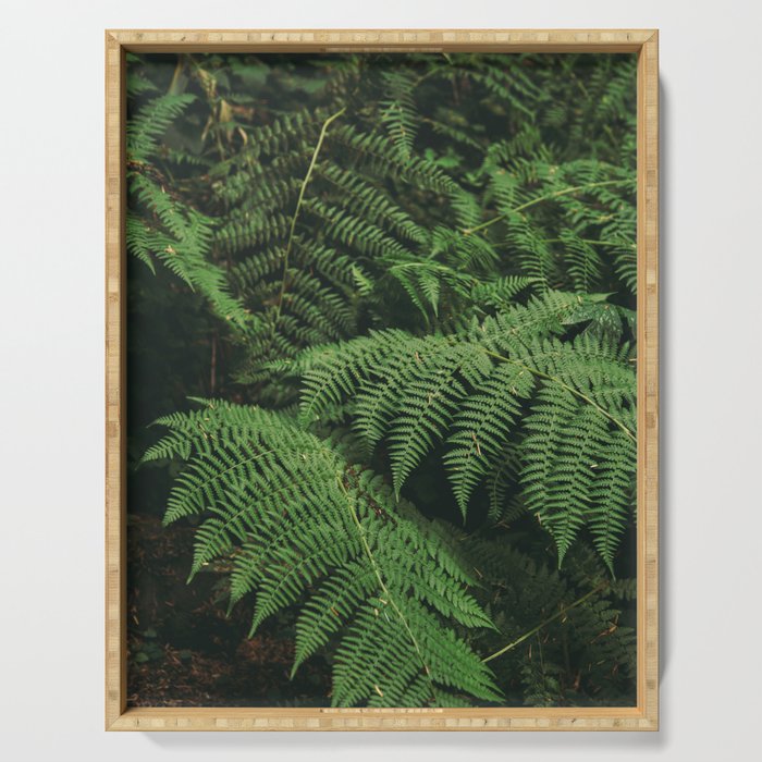 Ferns IX Serving Tray Gallery Image 1