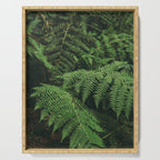 Ferns IX Serving Tray Gallery Image 1