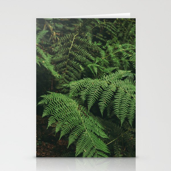 Ferns IX Stationery Card Gallery Image 2