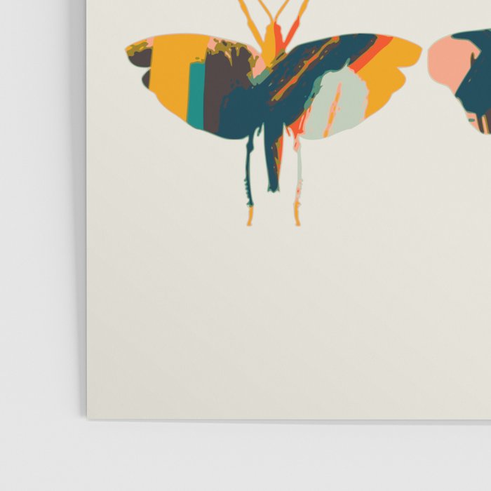 colorful butterflies Poster Gallery Image 3