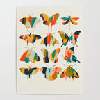 colorful butterflies Poster Gallery Image 4