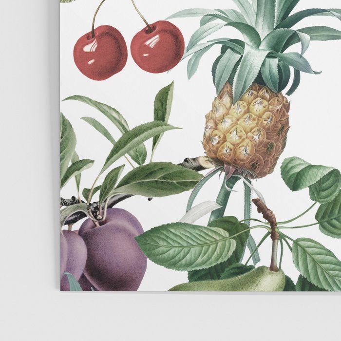 Tropical Vintage Floral and Fauna Poster Gallery Image 3