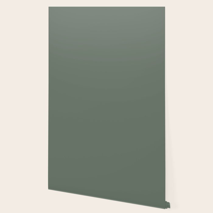Neutral Sage Grey II Solid Color Wallpaper Gallery Image 2