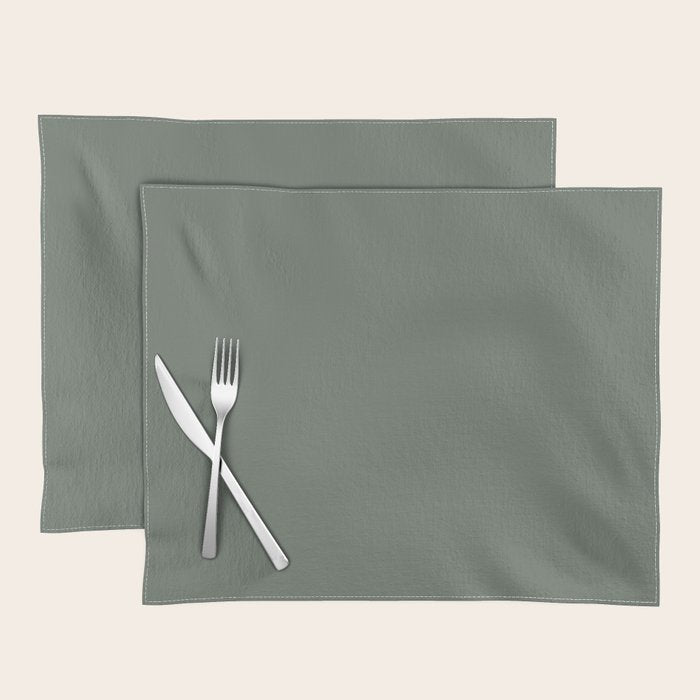 Neutral Sage Grey II Solid Color Placemat Gallery Image 1