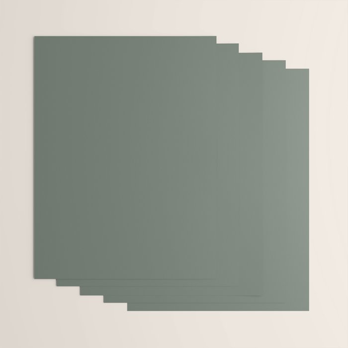 Neutral Sage Grey II Solid Color Wrapping Paper Gallery Image 3
