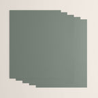 Neutral Sage Grey II Solid Color Wrapping Paper Gallery Image 3
