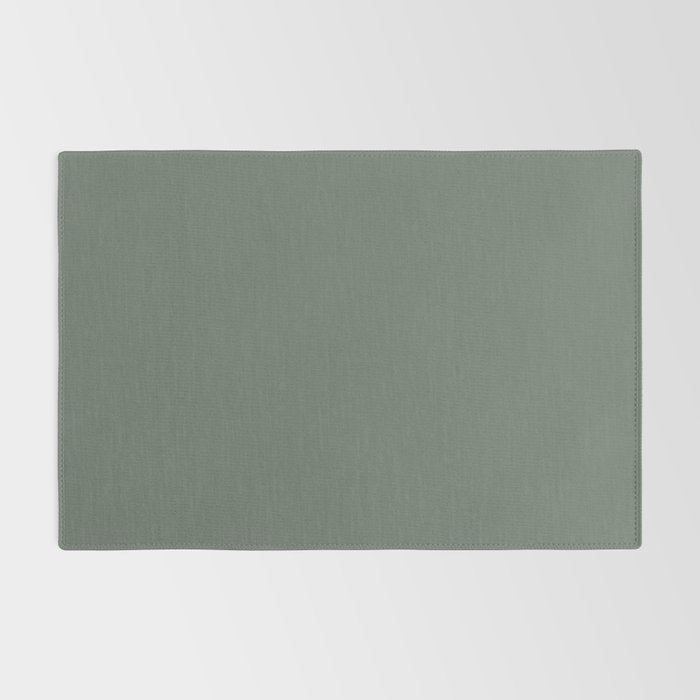 Neutral Sage Grey II Solid Color Rug Gallery Image 2