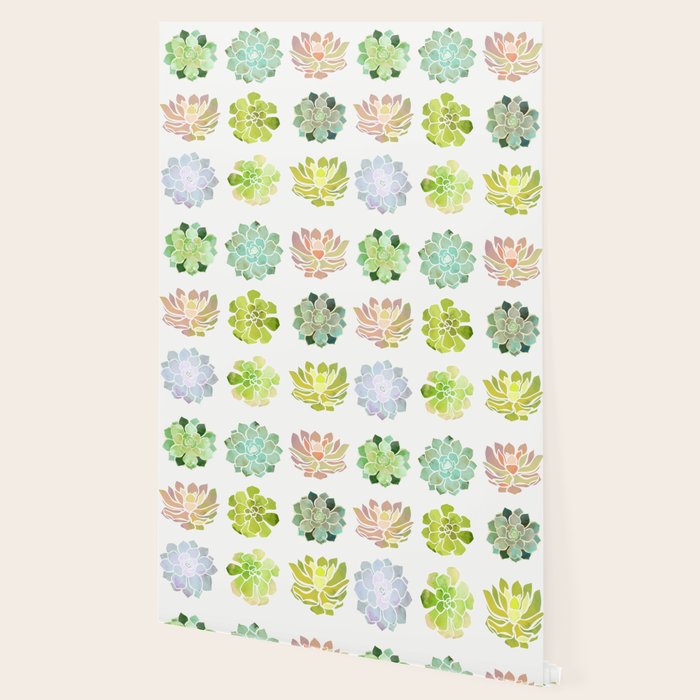 Spring Succulents Wallpaper Gallery Image 2