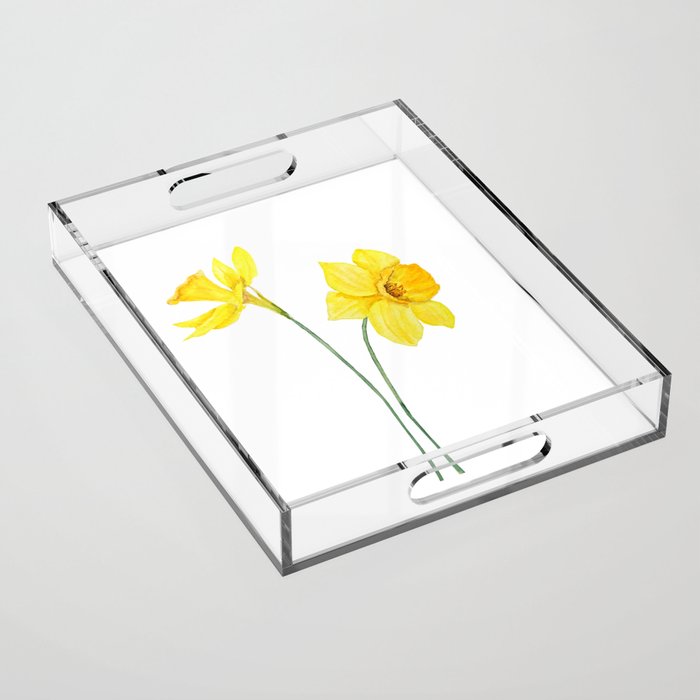 two botanical yellow daffodils watercolor Acrylic Tray Gallery Image 1