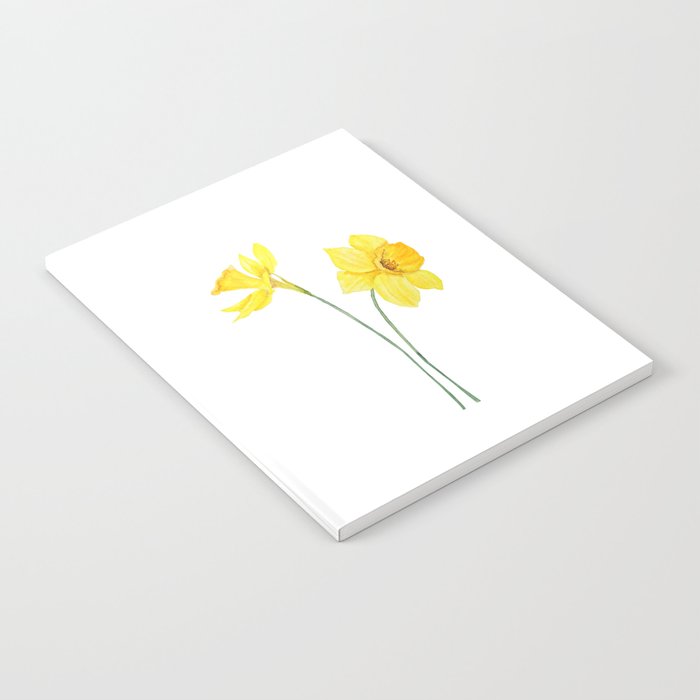 two botanical yellow daffodils watercolor Notebook Gallery Image 2