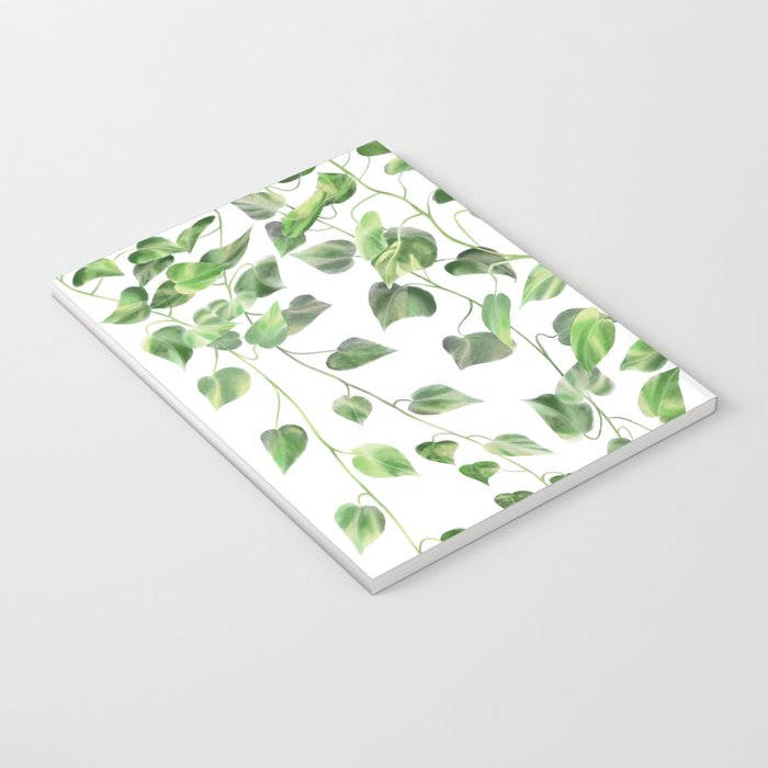 Golden Pothos - Ivy Notebook Gallery Image 3