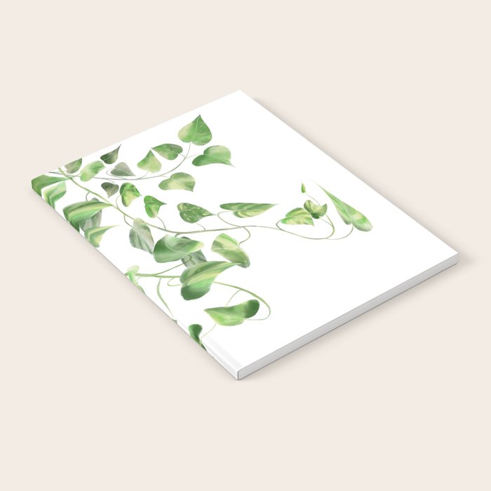 Golden Pothos - Ivy Notebook Gallery Image 2