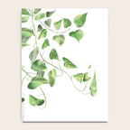 Golden Pothos - Ivy Notebook Gallery Image 4