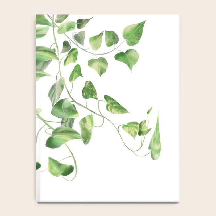 Golden Pothos - Ivy Notebook Gallery Image 4