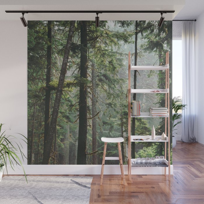 Forest VIII Wall Mural Gallery Image 1