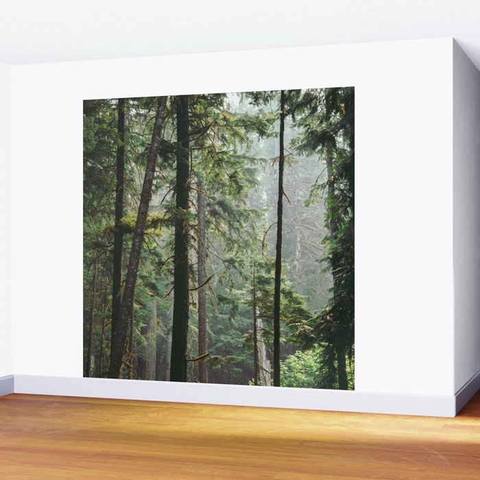 Forest VIII Wall Mural Gallery Image 2